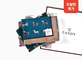 오늘만 특가<br>탠디 스카프 겸용 손수건